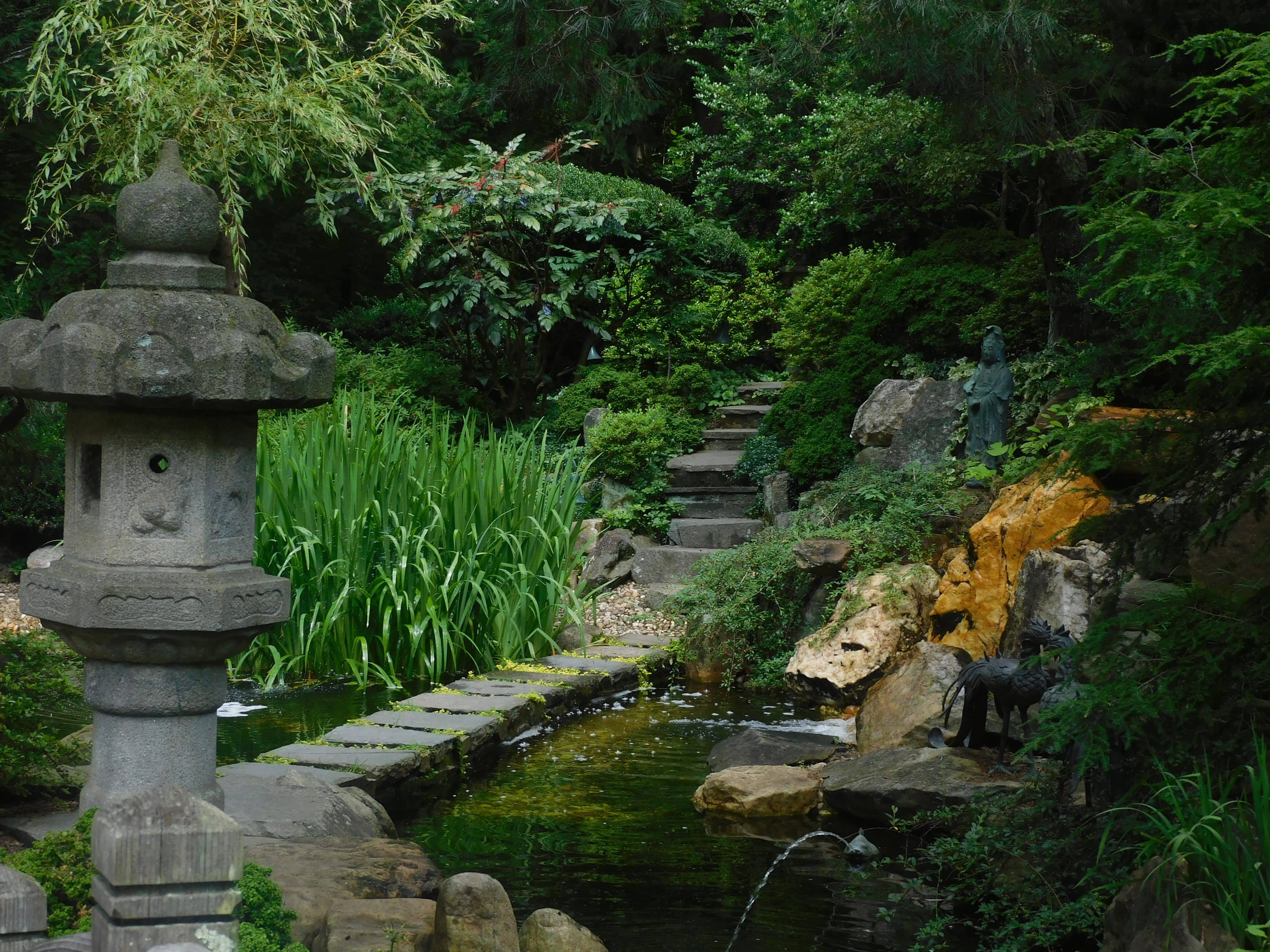 Zen, zengarten, japanischer garten, natur, gleichgewicht