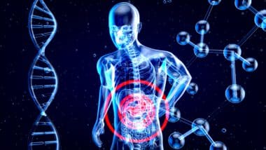 Die Leber: Funktion, Lebererkrankungen & Entgiftung des Körpers