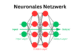 Visualisierung eines neuronalen Netzwerks mit Eingabeschicht, versteckter Schicht und Ausgabeschicht, farblich hervorgehoben in Rot und Grün.