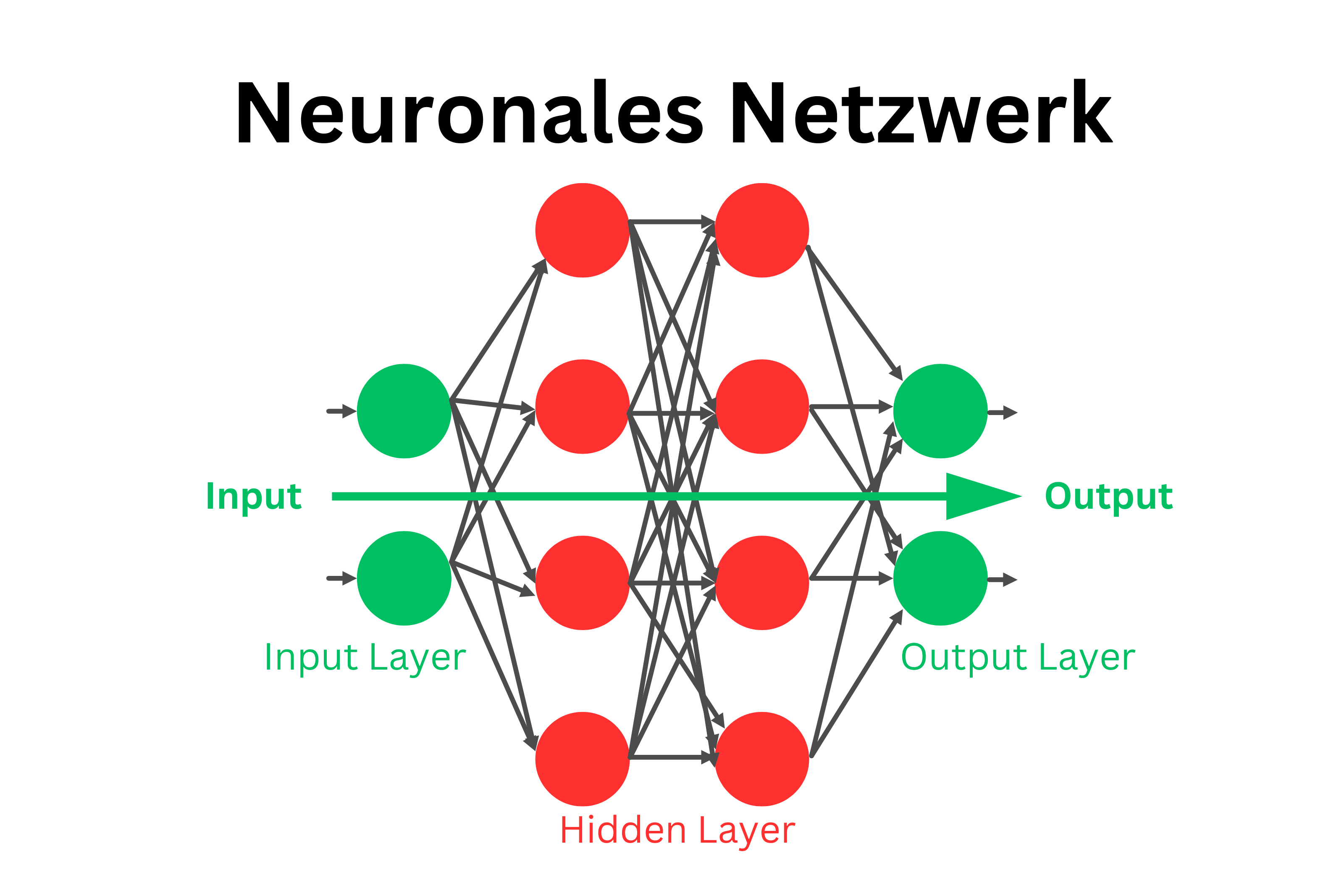 Visualisierung eines neuronalen Netzwerks mit Eingabeschicht, versteckter Schicht und Ausgabeschicht, farblich hervorgehoben in Rot und Grün.