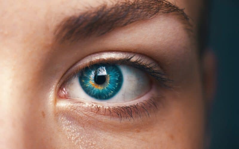 Ein Blick ins Auge: Aufbau, Funktion und Erkrankungen