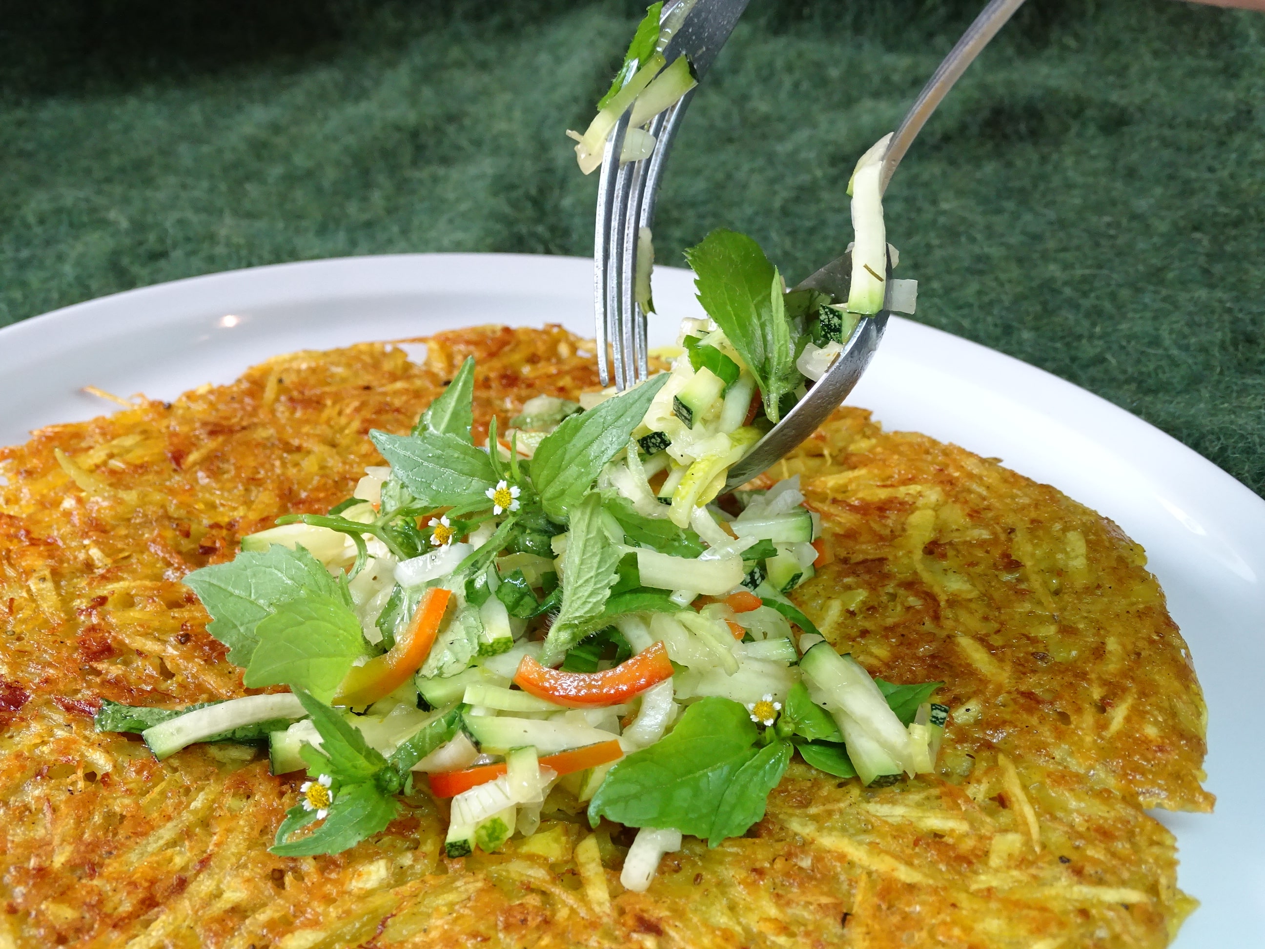 Knopfkrautsalat auf Kartoffelrösti