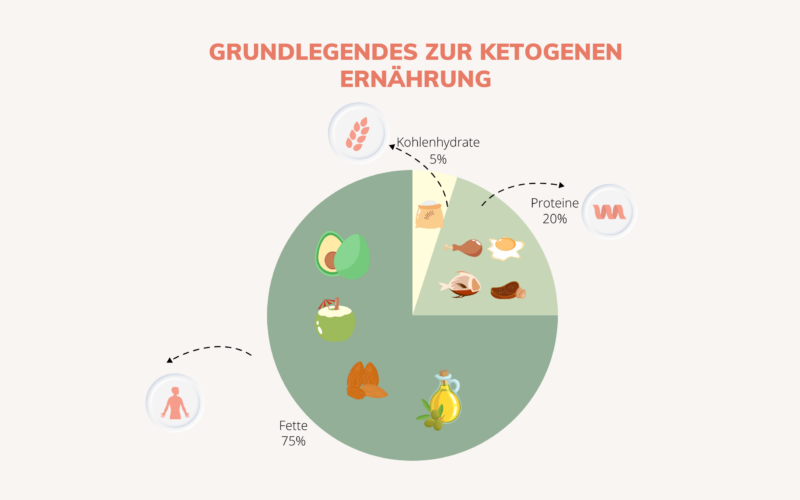 Diagramm der Makronährstoffverteilung in der ketogenen Ernährung mit Fokus auf Fette, Proteine und Kohlenhydrate.