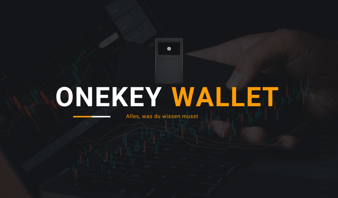 OneKey Wallet einrichten - So geht's