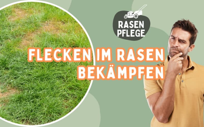 Flecken im Rasen