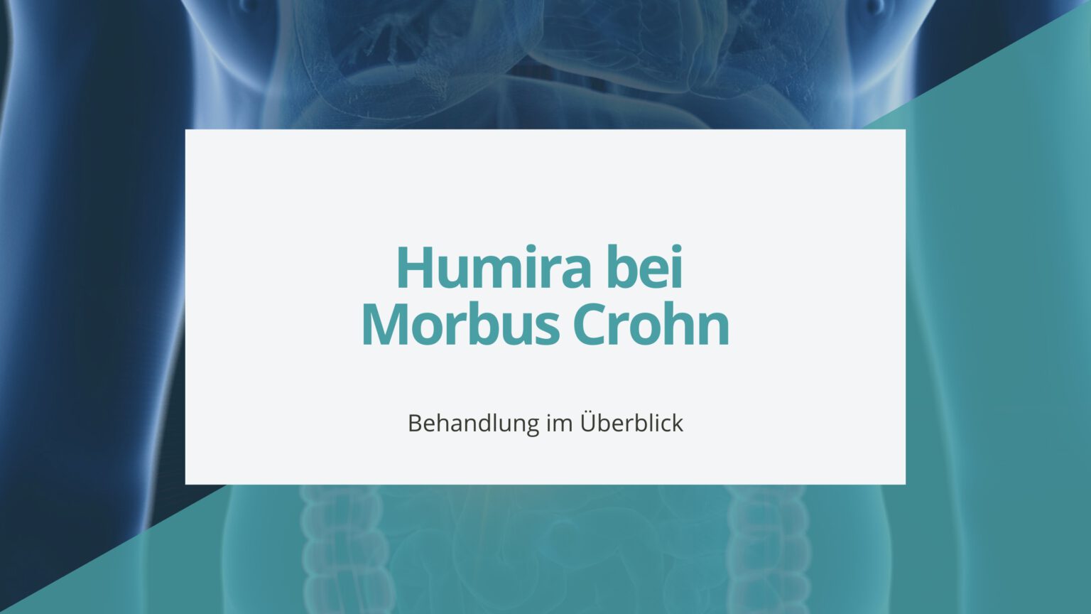 Humira bei Morbus Crohn Behandlung im Überblick
