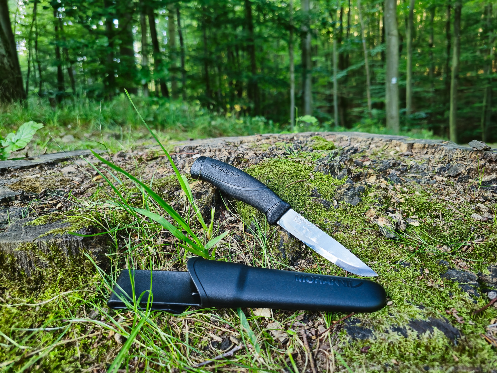 Mora Companion Messer auf Baumstumpf mit grünem Hintergrund im Wald.