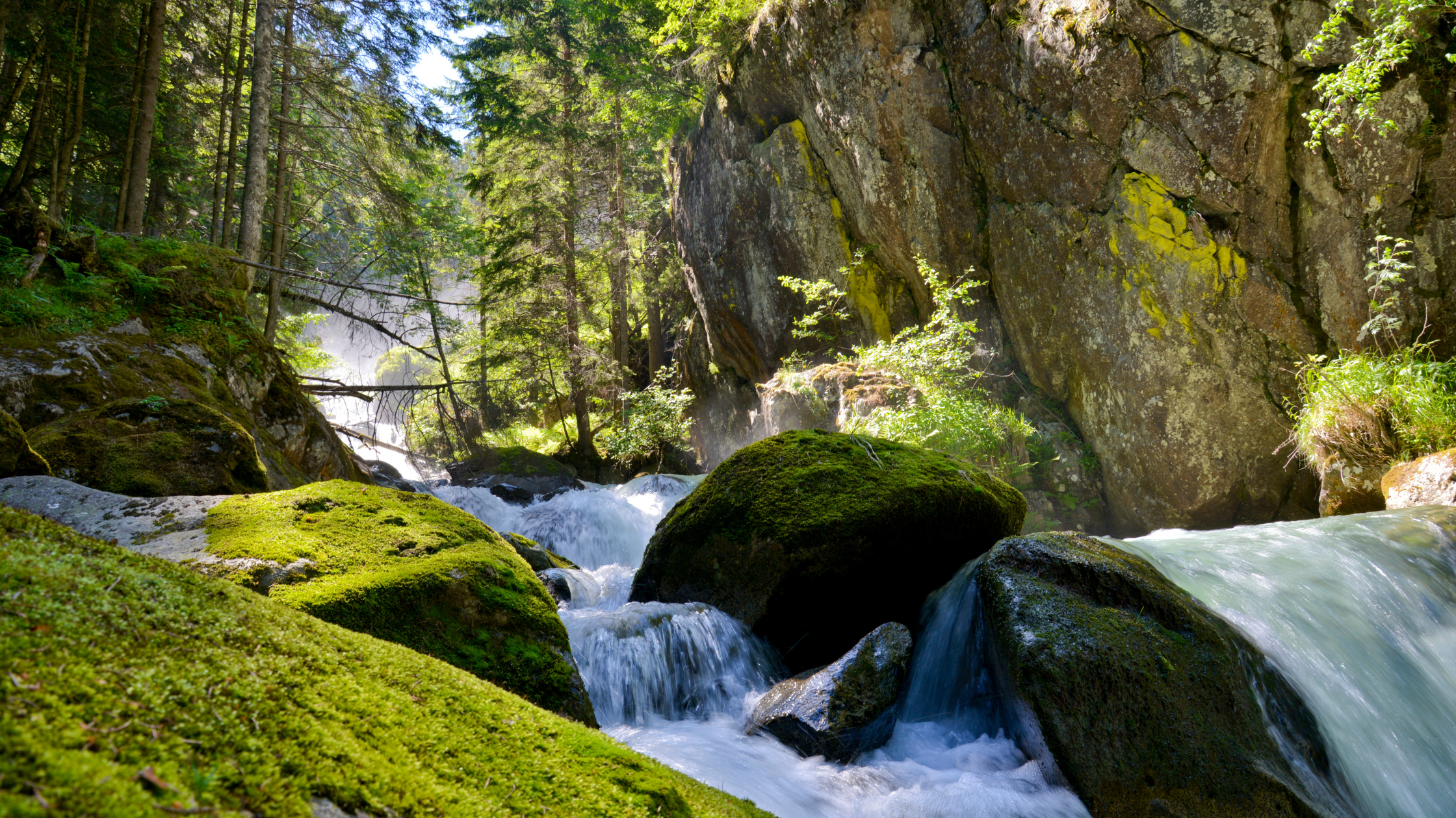 Kristallklare Süßwasserquelle im Wald mit fließendem Wasser über moosbedeckte Felsen