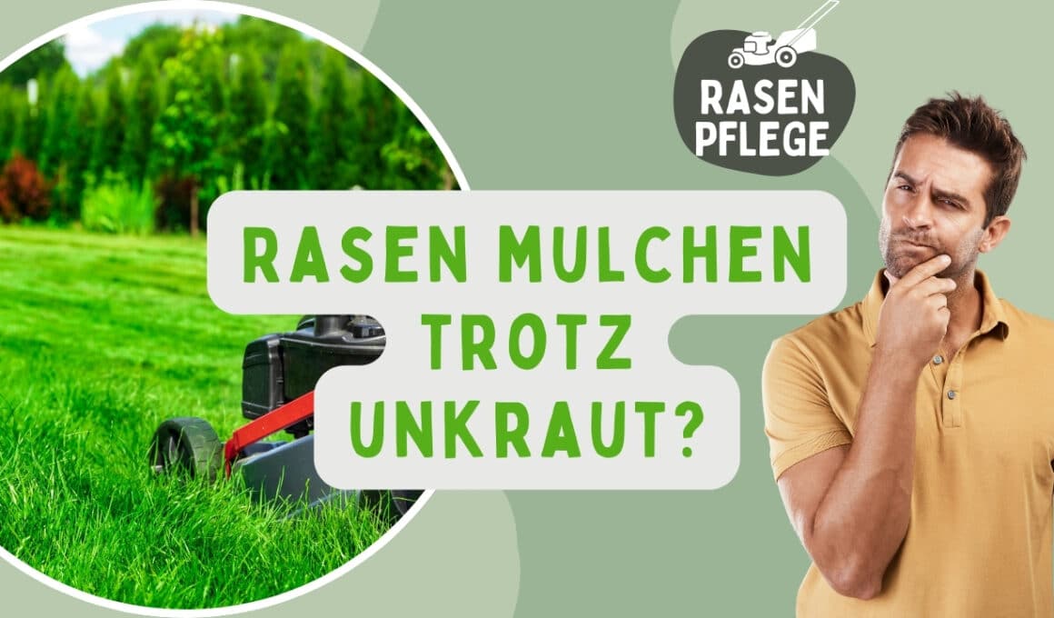 Rasen mulchen trotz Unkraut Beitragsbild