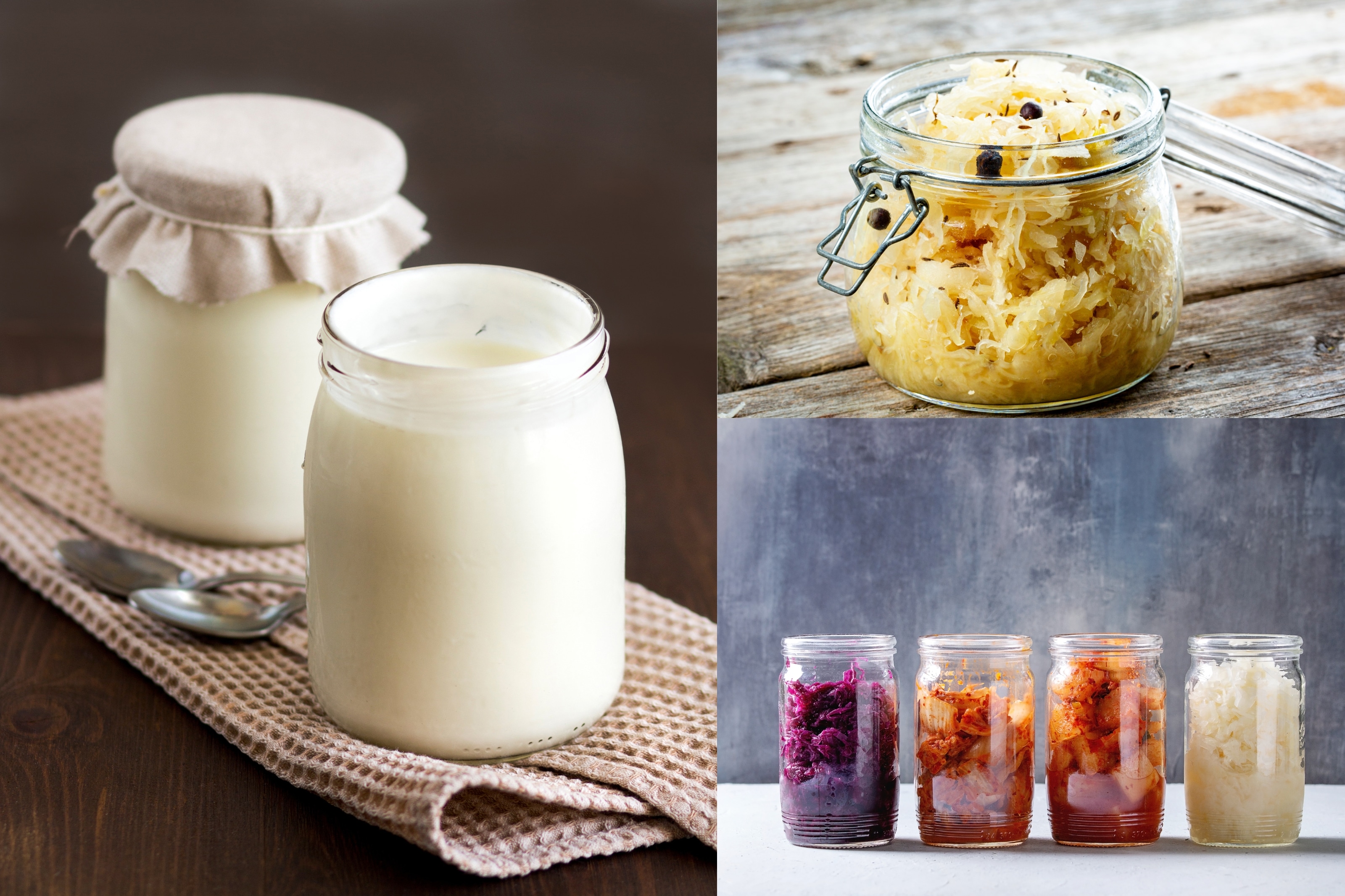 Fermentierte Lebensmittel in Gläsern, darunter cremiger Joghurt, traditionelles Sauerkraut und buntes Kimchi – gesunde probiotische Nahrungsmittel für die Darmflora.