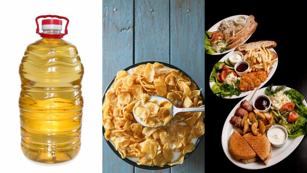 Versteckte Gefahren in alltäglichen Lebensmitteln: Eine Flasche raffiniertes Öl, eine Schüssel Cornflakes mit Milch und typisches Fast Food wie Burger, Pommes und frittiertes Essen. Darstellung der häufigsten Ernährungs-Mythen und deren Auswirkungen auf die Gesundheit.