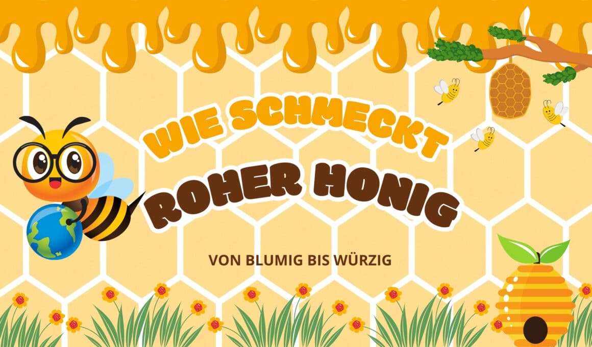 Wie schmeckt roher Honig Beitragsbild