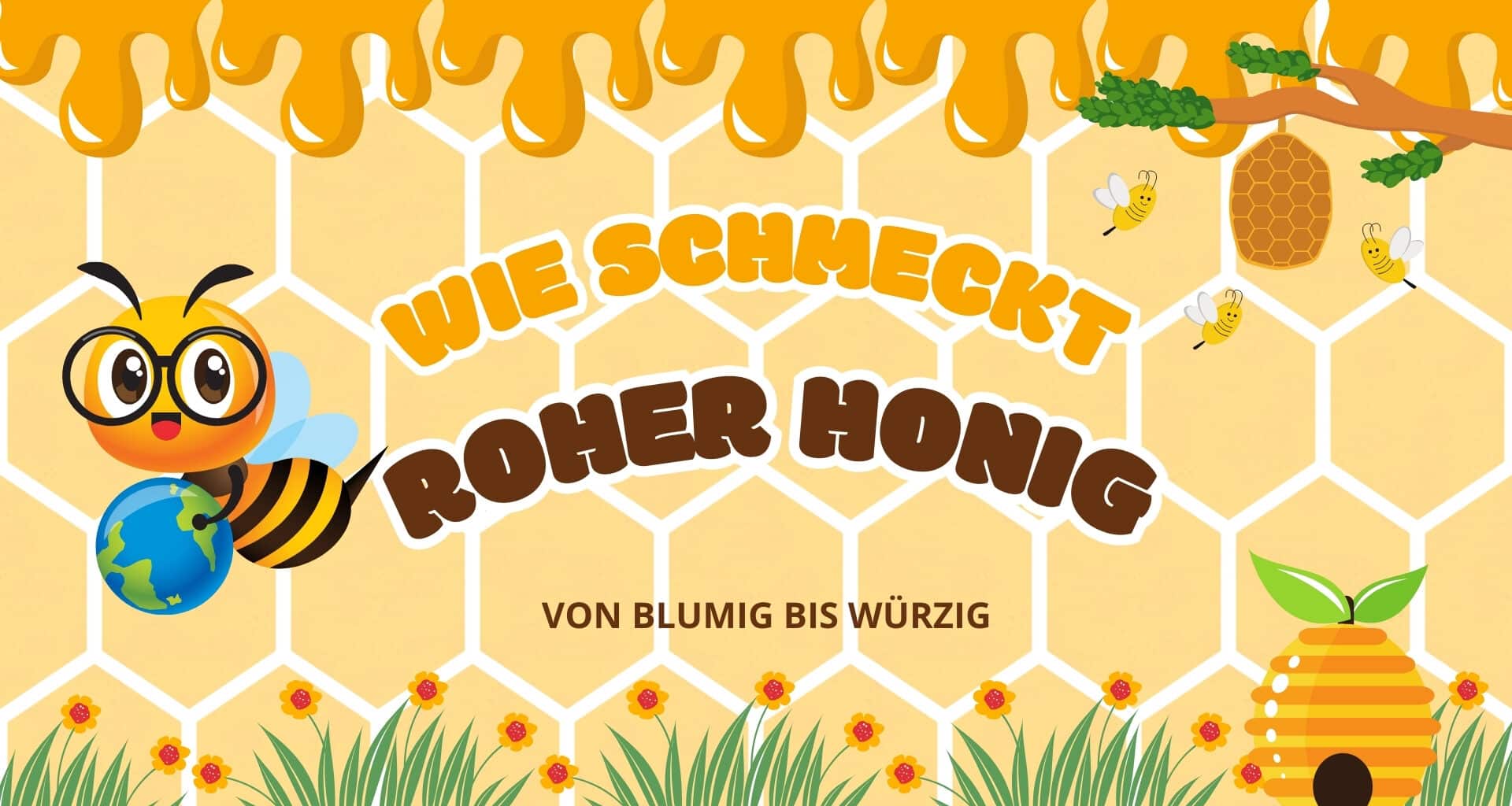 Wie schmeckt roher Honig Beitragsbild