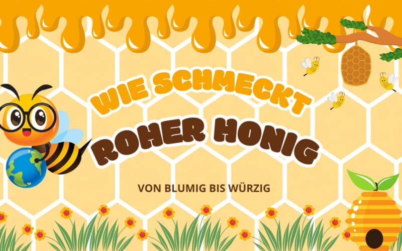 Wie schmeckt roher Honig Beitragsbild