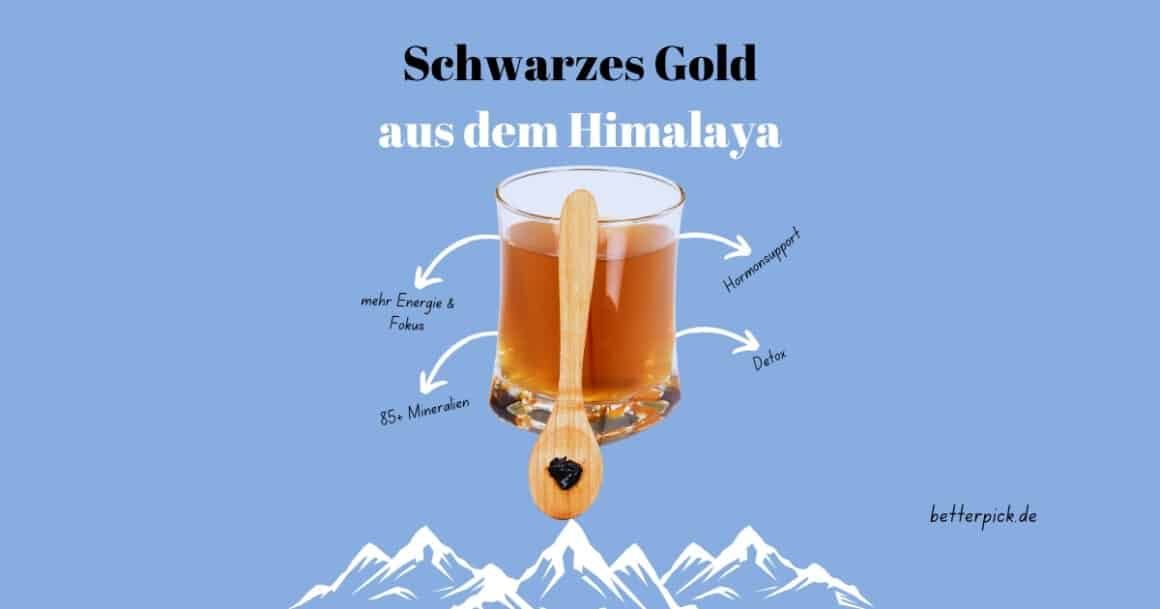 Glas mit Himalaya-Shilajit-Harz auf Holzlöffel vor blauem Hintergrund