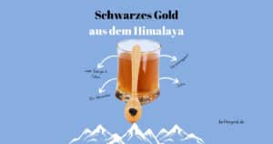 Glas mit Himalaya-Shilajit-Harz auf Holzlöffel vor blauem Hintergrund