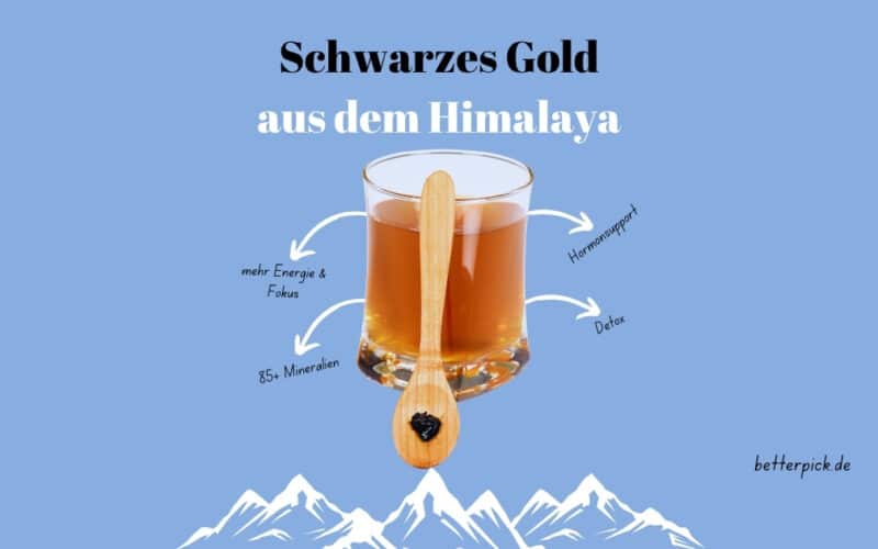 Glas mit Himalaya-Shilajit-Harz auf Holzlöffel vor blauem Hintergrund