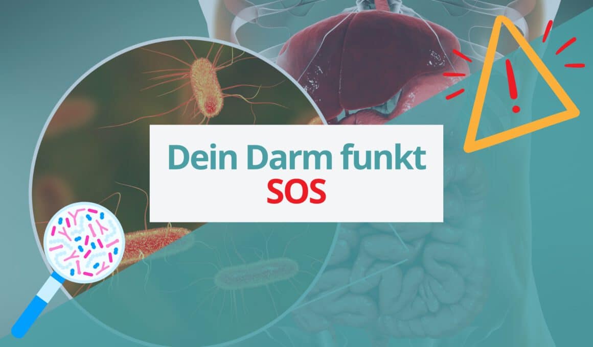 Grafik mit menschlichem Torso, Darm und Mikrobiom unter der Lupe – zentraler Schriftzug: ›Dein Darm funkt SOS‹, umgeben von Warnsymbol und Mikrobiom-Illustration.