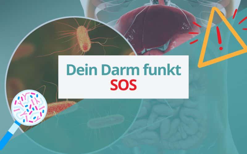 Grafik mit menschlichem Torso, Darm und Mikrobiom unter der Lupe – zentraler Schriftzug: ›Dein Darm funkt SOS‹, umgeben von Warnsymbol und Mikrobiom-Illustration.