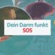 Grafik mit menschlichem Torso, Darm und Mikrobiom unter der Lupe – zentraler Schriftzug: ›Dein Darm funkt SOS‹, umgeben von Warnsymbol und Mikrobiom-Illustration.