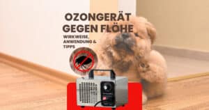 Ozongerät gegen Flöhe Beitragsbild.