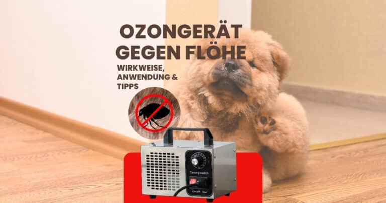 Ozongerät gegen Flöhe Beitragsbild.