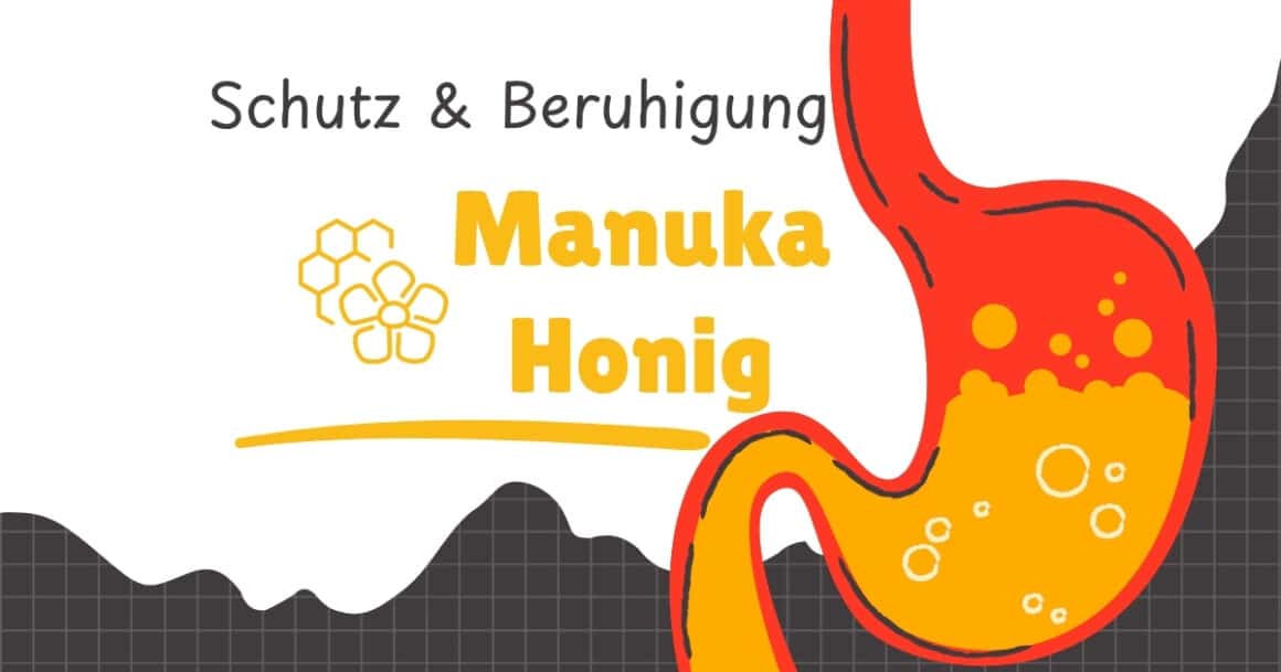 Manuka Honig Magenschleimhautentzündung: Honigfaden in lauwarmem Tee als schonende Einnahme vor Mahlzeiten.