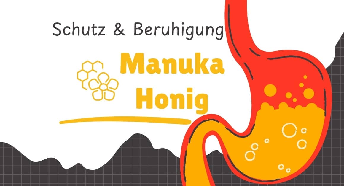 Manuka Honig Magenschleimhautentzündung: Honigfaden in lauwarmem Tee als schonende Einnahme vor Mahlzeiten.