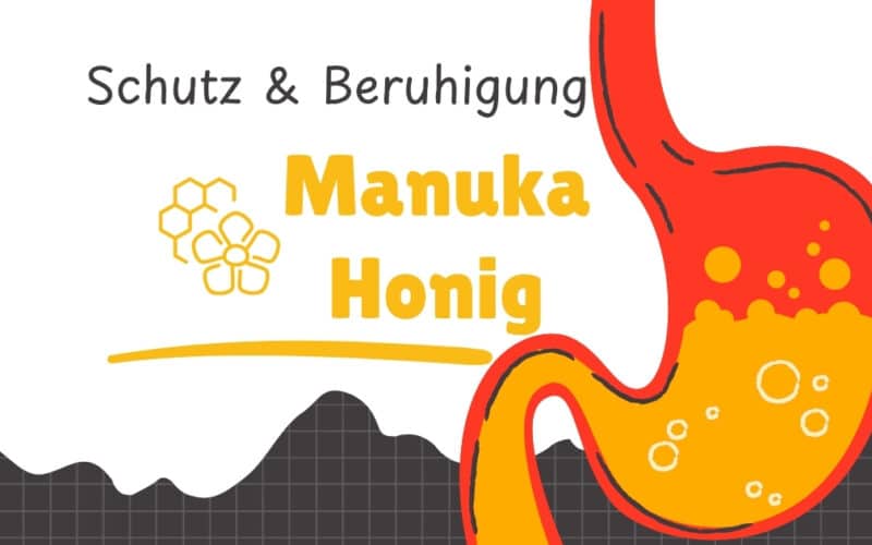 Manuka Honig Magenschleimhautentzündung: Honigfaden in lauwarmem Tee als schonende Einnahme vor Mahlzeiten.